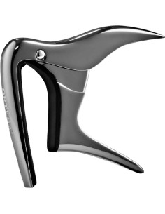 CEJILLA OCAPOUKE-BCR