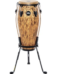 MCC11LB 11 QUINTO, LEOPARD BUR