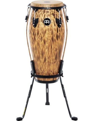 MCC11LB 11 QUINTO, LEOPARD BUR