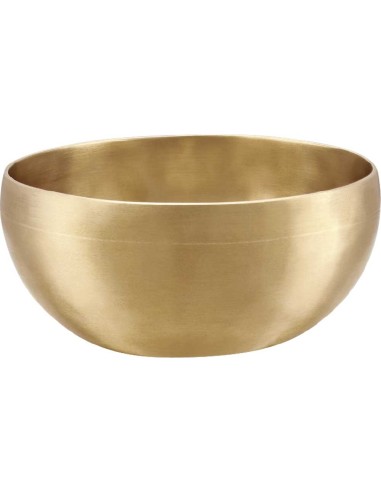 SB-U-600 UNIV.SINGING BOWL