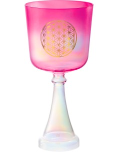 CSC6FPFOL CRYSTAL CHALICE,6',F