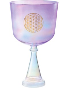 CSC8FPFOL CRYSTAL CHALICE,8',F
