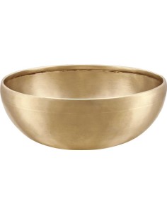 SB-E-700 THERAPY SERIES SINGIN