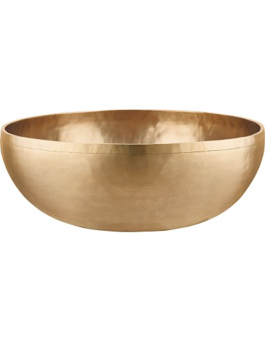 SB-G-9000 GROUNDING SERIES SIN