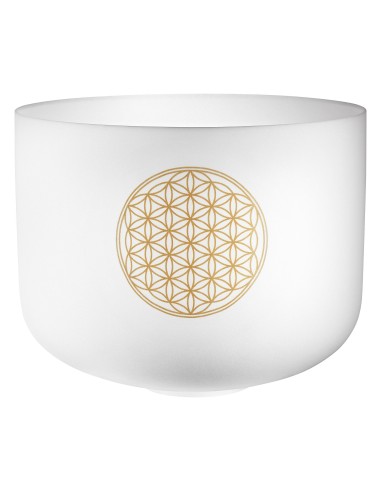 PCSB16FOL PLANETARY CRYSTAL SI