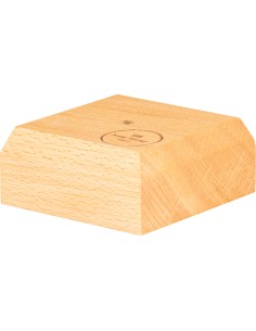 TTF-HOLDER-1 THERAPY TUNING FO