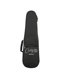 GUITAR GIG BAG