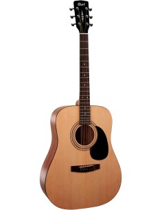 GUIT ACUST AD810 OP w/bag