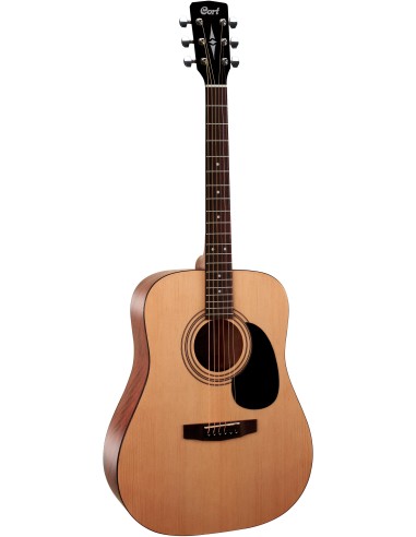 GUIT ACUST AD810 OP w/bag