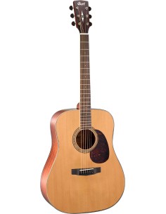 GUIT ACUST EARTH100 NS