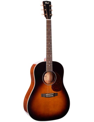 GUIT ACUST EARTH 100SSF SB