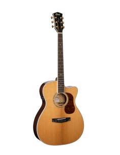 GUIT ACUST GOLD-OC8 NAT w/case