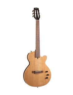 GUIT ACUST Sunset Nylectric II