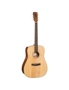 GUIT. ACUST. EARTH60 NAT