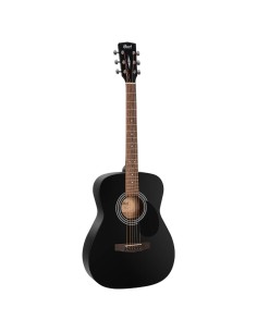 GUIT ACUST AF510E BKS w/bag