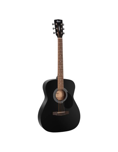 GUIT ACUST AF510E BKS w/bag
