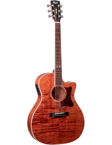 GUIT ACUST GA5F FMH OP