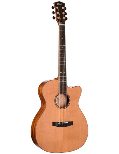 GUIT ACUST FLOW-OC NS W/CASE