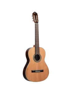 R19G TRADITIONAL SERIES, TRADI