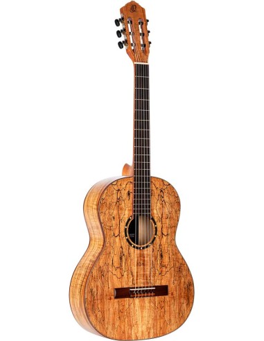 RSM-REISSUE Private Room  All