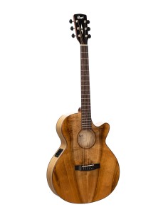 GUIT ACUST E SFX-Myrtlewood NA