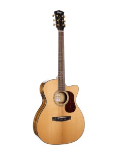 GUIT. ACUST. Gold OC6-Bocote N