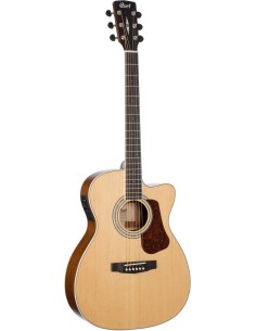GUIT. ACUST. L710F NS