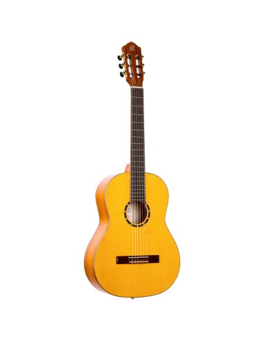FLAMENCO GUITAR R170F