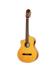 FLAMENCO GUITAR, ELECTRONIC, L