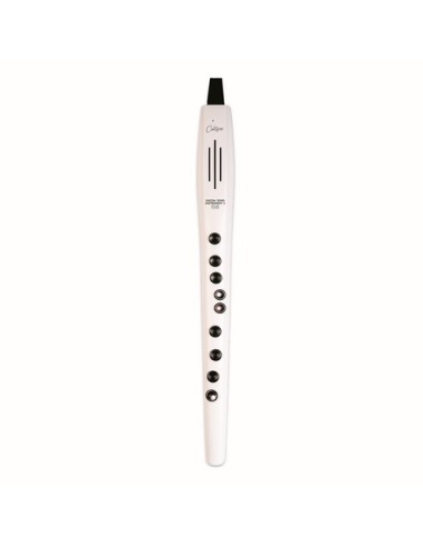 DIGITAL WIND INSTRUMENT PLUS W