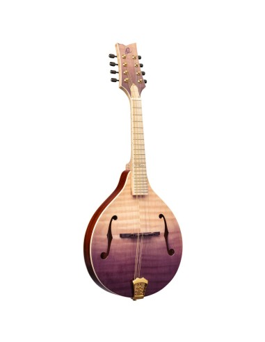 RMA200PF , MANDOLIN,A-STYLE,PU
