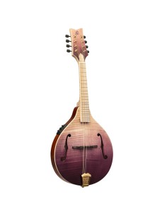 RMAE200PF , MANDOLIN, A-STYLE,