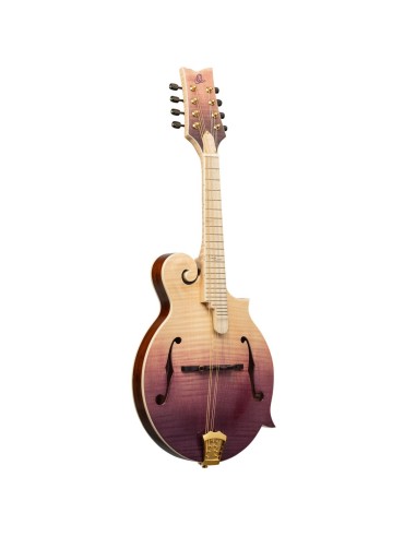 RMF200PF , MANDOLIN,F-STYLE,PU