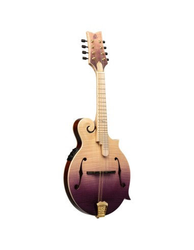 RMFE200PF,MANDOLIN,F-STYLE,PUR