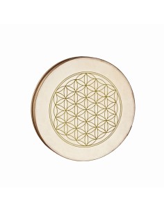 16' WAVE DRUM, FOL, GOAT y GOA