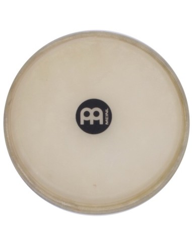 HEAD-39 - BONGO 8'' PARA FREE