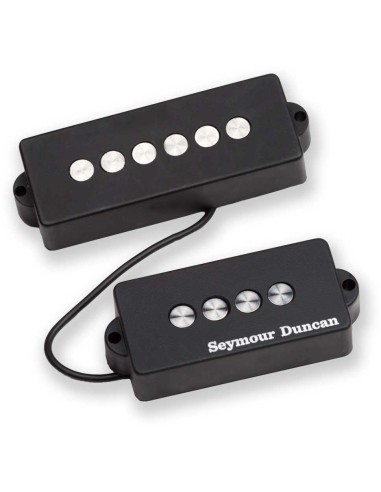 P-Bass 5 Str Qtr Pound