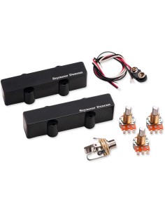 AJB-5s Active 5-string set