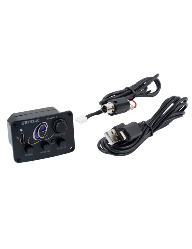 ACOUSTIC y NYLON STRING GUITAR