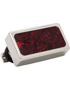 Sat Night Spcl Brg RNkl Bdr TS