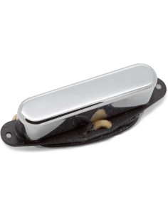 Retro Antq for Telecaster Neck