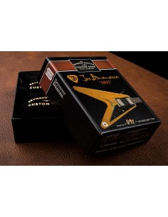 Bonamassa Amos SetCustom