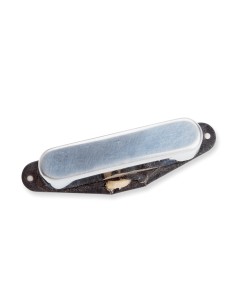 Antq for Telecaster Neck