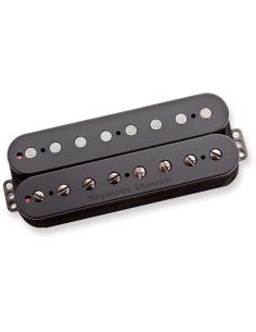 8Str Pegasus Brg Pmt Blk