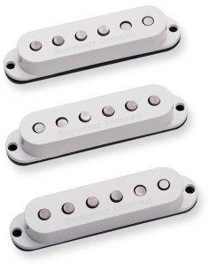 SSL-5 Custom Stag Strat Cal Se