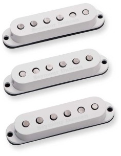 SSL-5L Custom Stag Strat CalSe