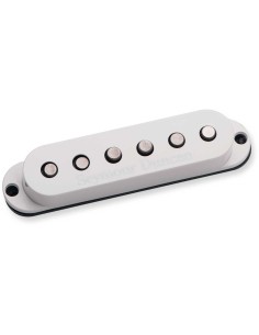 SSL-5L Custom Stag Strat RwRp