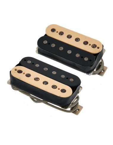 Bonamassa Amos Zebra Set