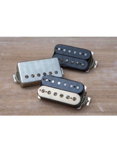 Frankestein Trembucker Zebra 1