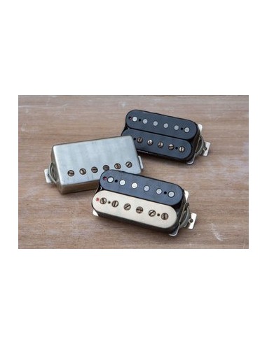 Frankestein Trembucker Zebra 1